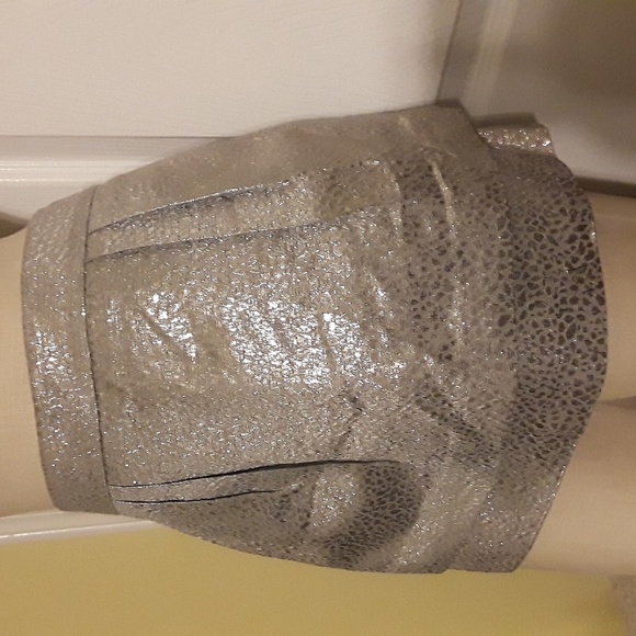 Express Vtg Metallic Silver Leopard print 2-tier Mini Skirt, lined sz 2 shiny - Picture 7 of 9